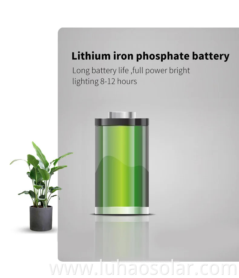 Lithium Iron Phosphate Battery